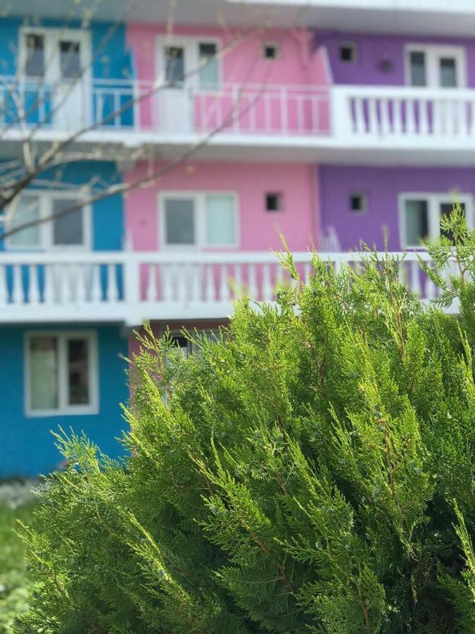 Cactus Costinesti Camin Studentesc pentru Elevi si Studenti Albergue Exterior foto